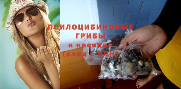 ешки Медвежьегорск