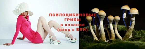 первитин Мегион