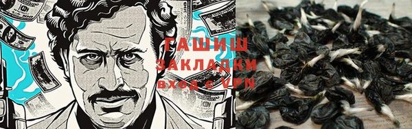 первитин Мегион