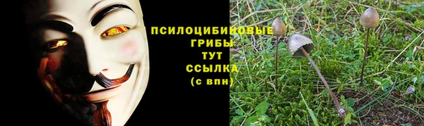 первитин Мегион