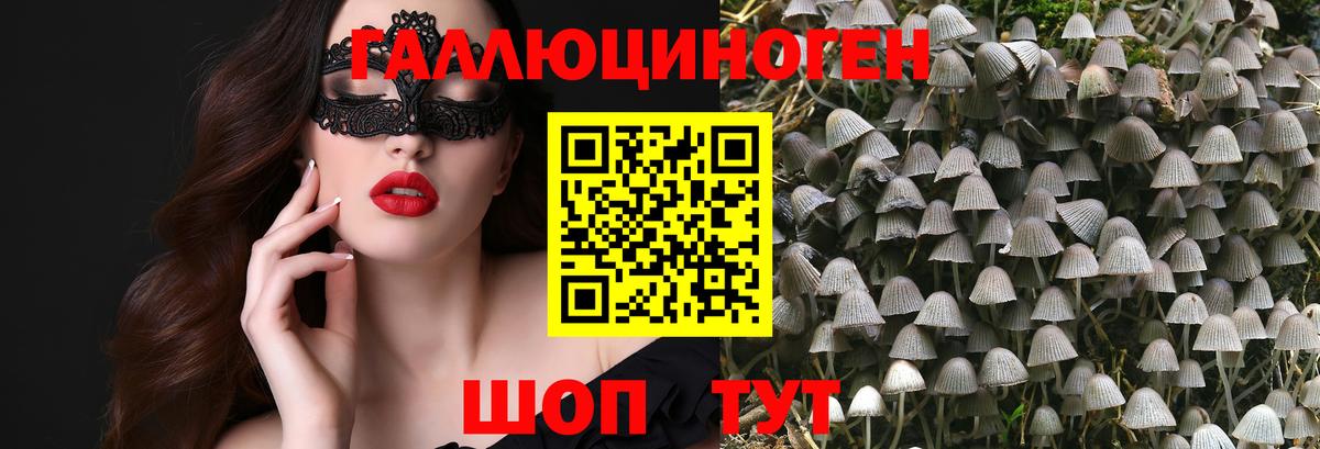 Галлюциногенные грибы Cubensis  купить  сайты  Омск 