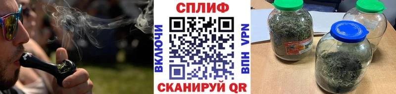 купить закладку  Омск  Бошки марихуана план 